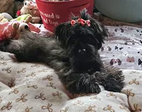 processed/c83cf6e3-4dee-4940-897a-31bc63f015dc/listing/7d57622c-65dd-4008-85b2-311ca941d856/e4b6461c-64a5-4ddb-adc7-31c9a44422a2