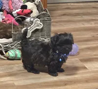 processed/c83cf6e3-4dee-4940-897a-31bc63f015dc/listing/addb4fa4-4db1-4062-9cba-8380fca31048/02638fed-b2c1-4e4c-9a1e-d320893f8099