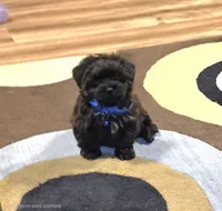 processed/c83cf6e3-4dee-4940-897a-31bc63f015dc/listing/addb4fa4-4db1-4062-9cba-8380fca31048/9cbe9a51-219c-4bc0-9e50-ffb3fddf15fa