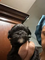 processed/c8479951-4dc5-4650-a34f-33541e275dac/facility/3ab98127-6608-43d9-94fa-a24d94299009