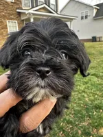 processed/c8479951-4dc5-4650-a34f-33541e275dac/facility/81475efe-cf0e-4b9b-8812-b3f20984d668