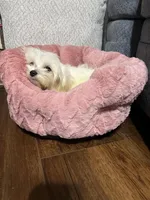 processed/c8479951-4dc5-4650-a34f-33541e275dac/facility/9c809210-80ee-4612-be43-6d8d89594a91