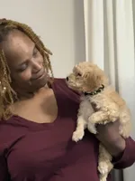 processed/c8479951-4dc5-4650-a34f-33541e275dac/facility/cacb9fb8-052e-4782-8084-781523c33847