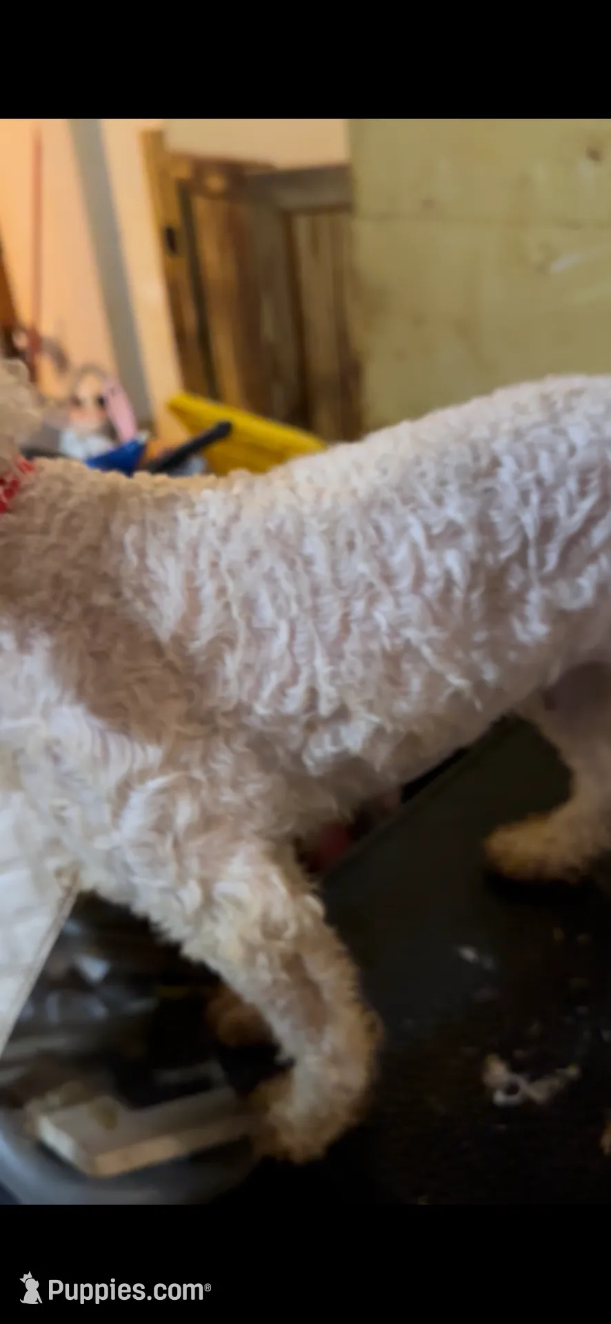 processed/c8479951-4dc5-4650-a34f-33541e275dac/listing/bb4a418e-aaf4-4f7c-bb0c-788e97a49f29/c3bc66ea-cf0a-4738-99fd-71a4b52bac8c