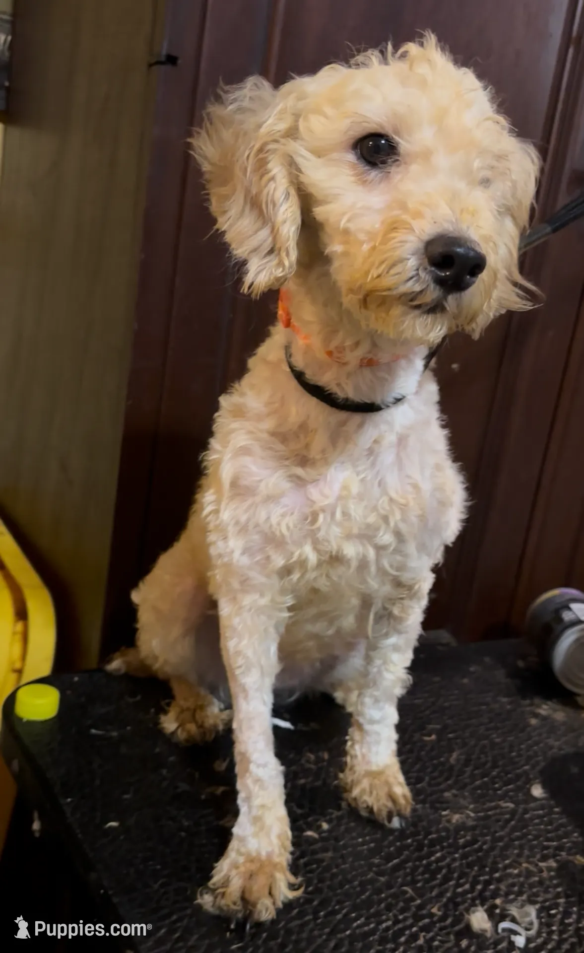 processed/c8479951-4dc5-4650-a34f-33541e275dac/listing/bb4a418e-aaf4-4f7c-bb0c-788e97a49f29/f6804481-d914-4568-b262-e7b699081106