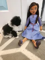 Velvet, a female Pomeranian for sale in Vidor, TX – Photo 2 of 2