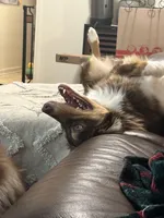 processed/c85410cf-e3e4-4525-8fed-80ba323d8f9e/facility/0de9e103-4461-4265-8383-2157f506d9ad