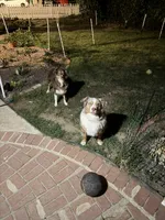 processed/c85410cf-e3e4-4525-8fed-80ba323d8f9e/facility/5d03d68c-4e43-4322-94ad-127a65283e4e