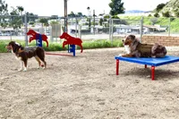 processed/c85410cf-e3e4-4525-8fed-80ba323d8f9e/facility/96f79cf2-ec05-410b-ab04-613041171c29