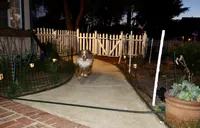 processed/c85410cf-e3e4-4525-8fed-80ba323d8f9e/facility/aa490c38-f3e1-48ea-afff-c9bb782939b4