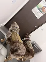 processed/c85410cf-e3e4-4525-8fed-80ba323d8f9e/facility/c371eff9-2b7d-47df-abbc-b1021ec29c30