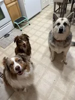 processed/c85410cf-e3e4-4525-8fed-80ba323d8f9e/facility/c50b4ba2-8c58-4858-9413-3f2f7dd568dc