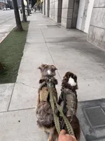 processed/c85410cf-e3e4-4525-8fed-80ba323d8f9e/facility/d51678a4-1de5-4e89-bb0c-850c6e3872f0