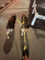 processed/c85410cf-e3e4-4525-8fed-80ba323d8f9e/facility/dd2dedda-eb79-487b-82a8-3e3d8127b095