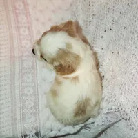 processed/c85b763b-3f1d-4605-8e82-539e124e8bfc/listing/19e0b995-55ec-45cb-bc3e-007f697c395e/64663b2d-c775-4ba1-884e-ecb26fc74a61