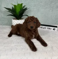 processed/c85b8bac-bec8-4c2a-9578-e3bdde5cf8bc/listing/45fa9ec0-a101-420c-9a91-4413e2721de7/631aa38a-ec27-42fa-9212-05e1146fa30a