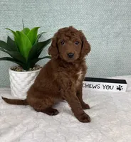 processed/c85b8bac-bec8-4c2a-9578-e3bdde5cf8bc/listing/45fa9ec0-a101-420c-9a91-4413e2721de7/a10e269f-b894-4294-a9ee-aaf7ea02ecf9