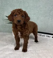 processed/c85b8bac-bec8-4c2a-9578-e3bdde5cf8bc/listing/45fa9ec0-a101-420c-9a91-4413e2721de7/d665a9ee-214b-42dc-8567-0a3bce98f84e