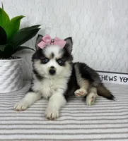 processed/c85b8bac-bec8-4c2a-9578-e3bdde5cf8bc/listing/47a05e58-69f6-4476-a66d-4c25c230bac8/267c1ec5-d8a0-4b8d-a7af-07237ec71705