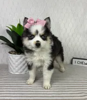 processed/c85b8bac-bec8-4c2a-9578-e3bdde5cf8bc/listing/47a05e58-69f6-4476-a66d-4c25c230bac8/cc0725a5-8f51-4cb1-b1dd-599c9f8b3648