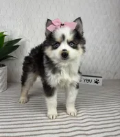 processed/c85b8bac-bec8-4c2a-9578-e3bdde5cf8bc/listing/47a05e58-69f6-4476-a66d-4c25c230bac8/ef463df4-64a6-48b6-b85a-42f59db06a06