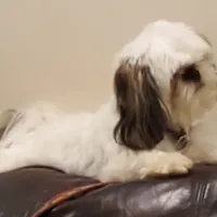 processed/c86349f9-5fb0-4344-8ba9-0ddd65f7ad6e/facility/151a88d4-a0a3-4df3-9458-0cb501be094b