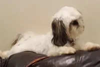 processed/c86349f9-5fb0-4344-8ba9-0ddd65f7ad6e/facility/151a88d4-a0a3-4df3-9458-0cb501be094b