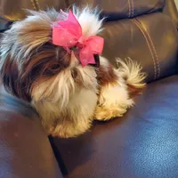 processed/c86349f9-5fb0-4344-8ba9-0ddd65f7ad6e/facility/15c38e94-4c27-4ca6-a081-2404c2eea5fc