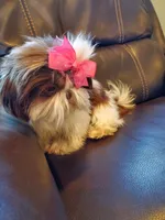 processed/c86349f9-5fb0-4344-8ba9-0ddd65f7ad6e/facility/15c38e94-4c27-4ca6-a081-2404c2eea5fc