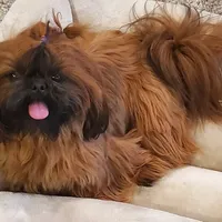 processed/c86349f9-5fb0-4344-8ba9-0ddd65f7ad6e/facility/3a641fa5-58b2-41a4-a1b2-14f5cd3b1ac5