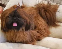 processed/c86349f9-5fb0-4344-8ba9-0ddd65f7ad6e/facility/3a641fa5-58b2-41a4-a1b2-14f5cd3b1ac5