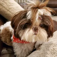 processed/c86349f9-5fb0-4344-8ba9-0ddd65f7ad6e/facility/4bc602fa-e7e5-4dc5-a90d-26694021c5b1