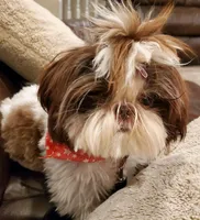 processed/c86349f9-5fb0-4344-8ba9-0ddd65f7ad6e/facility/4bc602fa-e7e5-4dc5-a90d-26694021c5b1