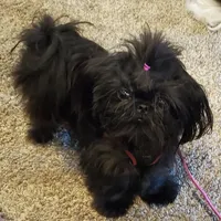 processed/c86349f9-5fb0-4344-8ba9-0ddd65f7ad6e/facility/52499242-12f6-4040-9691-16608a06dd70