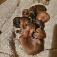 processed/c86349f9-5fb0-4344-8ba9-0ddd65f7ad6e/facility/90f310a4-b429-4347-b7b1-7feeb15b2716