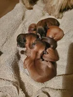 processed/c86349f9-5fb0-4344-8ba9-0ddd65f7ad6e/facility/90f310a4-b429-4347-b7b1-7feeb15b2716