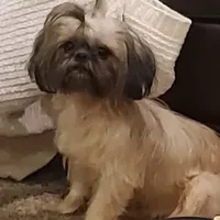 processed/c86349f9-5fb0-4344-8ba9-0ddd65f7ad6e/facility/98132d3a-66e3-47d6-965f-47dbf7603878