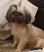 processed/c86349f9-5fb0-4344-8ba9-0ddd65f7ad6e/facility/98132d3a-66e3-47d6-965f-47dbf7603878