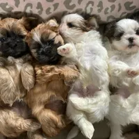 processed/c86349f9-5fb0-4344-8ba9-0ddd65f7ad6e/facility/e29fdb03-3f11-4293-9c4b-1c59df9cc5ff