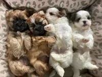 processed/c86349f9-5fb0-4344-8ba9-0ddd65f7ad6e/facility/e29fdb03-3f11-4293-9c4b-1c59df9cc5ff