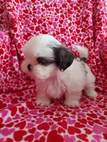 processed/c86349f9-5fb0-4344-8ba9-0ddd65f7ad6e/listing/0e812223-68bf-4ead-8737-e3f32f5379ac/8b5b56a8-2ef9-4a7f-a0f7-e6455f51fb10