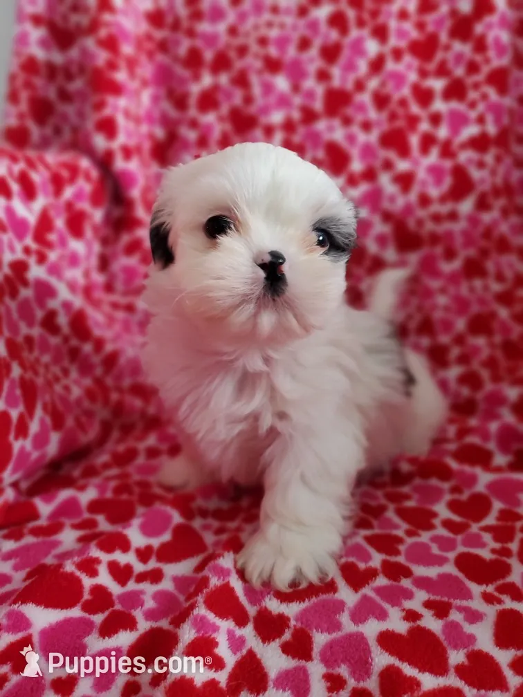 processed/c86349f9-5fb0-4344-8ba9-0ddd65f7ad6e/listing/0e812223-68bf-4ead-8737-e3f32f5379ac/fd873869-e287-4830-a600-8e077c0ca552