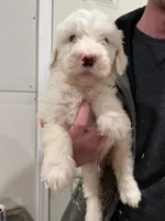 processed/c8642377-6a4a-40d1-a24a-d3caaee17cda/listing/6714b0e8-6b5c-450c-b886-6de23a43f75d/2512ae00-27de-4bf0-9191-e84f226f77c4