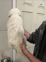 processed/c8642377-6a4a-40d1-a24a-d3caaee17cda/listing/6714b0e8-6b5c-450c-b886-6de23a43f75d/2987198d-ad08-4c64-ae2c-f600b6ad7c5c