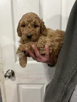 processed/c8642377-6a4a-40d1-a24a-d3caaee17cda/listing/f68352b6-3f29-4818-a083-f557cca8bf44/246f35f7-6f22-47ca-ad98-b85466873ea4