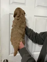 processed/c8642377-6a4a-40d1-a24a-d3caaee17cda/listing/f68352b6-3f29-4818-a083-f557cca8bf44/c1e0e085-5f17-41ae-bab3-487d436be18b