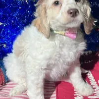 processed/c865317f-5552-4116-9d67-1710d93ef40f/facility/397f23f2-852b-49f2-bcba-565daa5e83a0