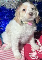 processed/c865317f-5552-4116-9d67-1710d93ef40f/facility/397f23f2-852b-49f2-bcba-565daa5e83a0