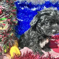 processed/c865317f-5552-4116-9d67-1710d93ef40f/facility/6244c89b-d000-4d56-b39a-101c8f0b6cb5