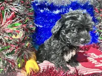 processed/c865317f-5552-4116-9d67-1710d93ef40f/facility/6244c89b-d000-4d56-b39a-101c8f0b6cb5